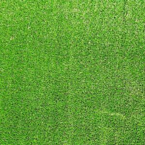SEAGULL 20mm ARTIFICIAL GRASS ROLL-2m X 3m