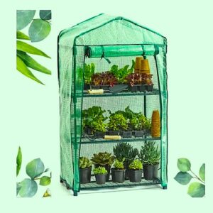 THE 3-LAYER GREEN HOUSE