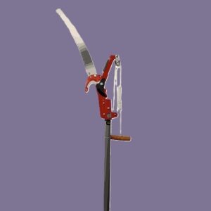 PROFESSIONAL COMPOUND-ACTION TREE PRUNER